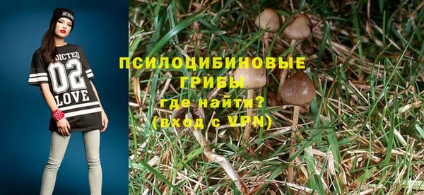 мескалин Заволжье